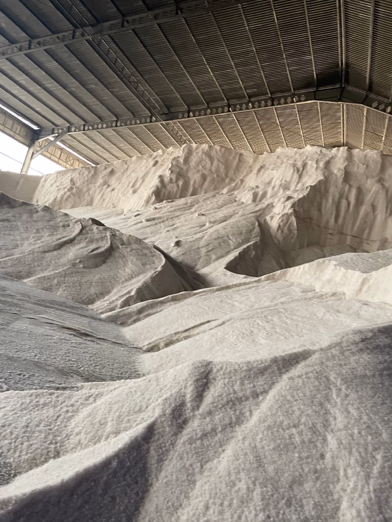 Bahari Sentosa Abadi Office Building